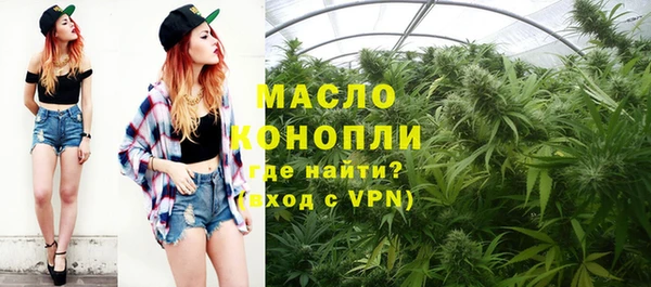 прущие грибы Надым
