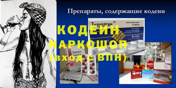 прущие грибы Надым