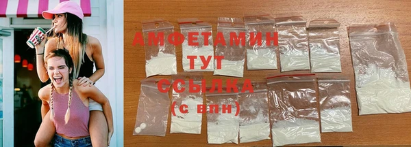 прущие грибы Надым