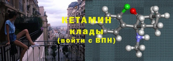прущие грибы Надым