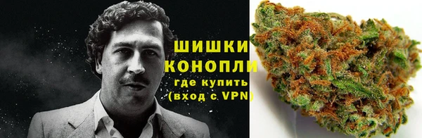 прущие грибы Надым