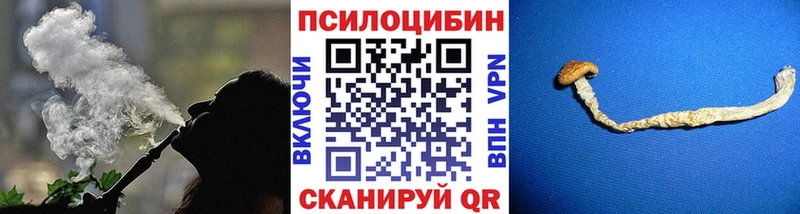 Галлюциногенные грибы Psilocybe  продажа наркотиков  Анива 