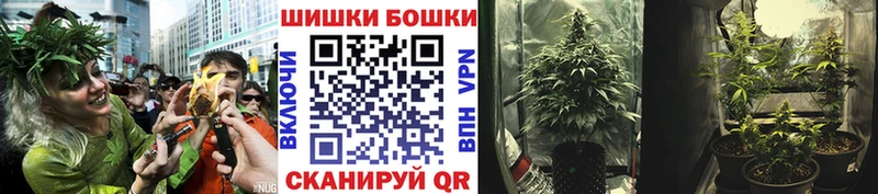 KRAKEN ТОР Анива Канабис планчик